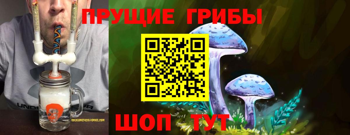 Галлюциногенные грибы Psilocybine cubensis  Вход с VPN  Коммунар 